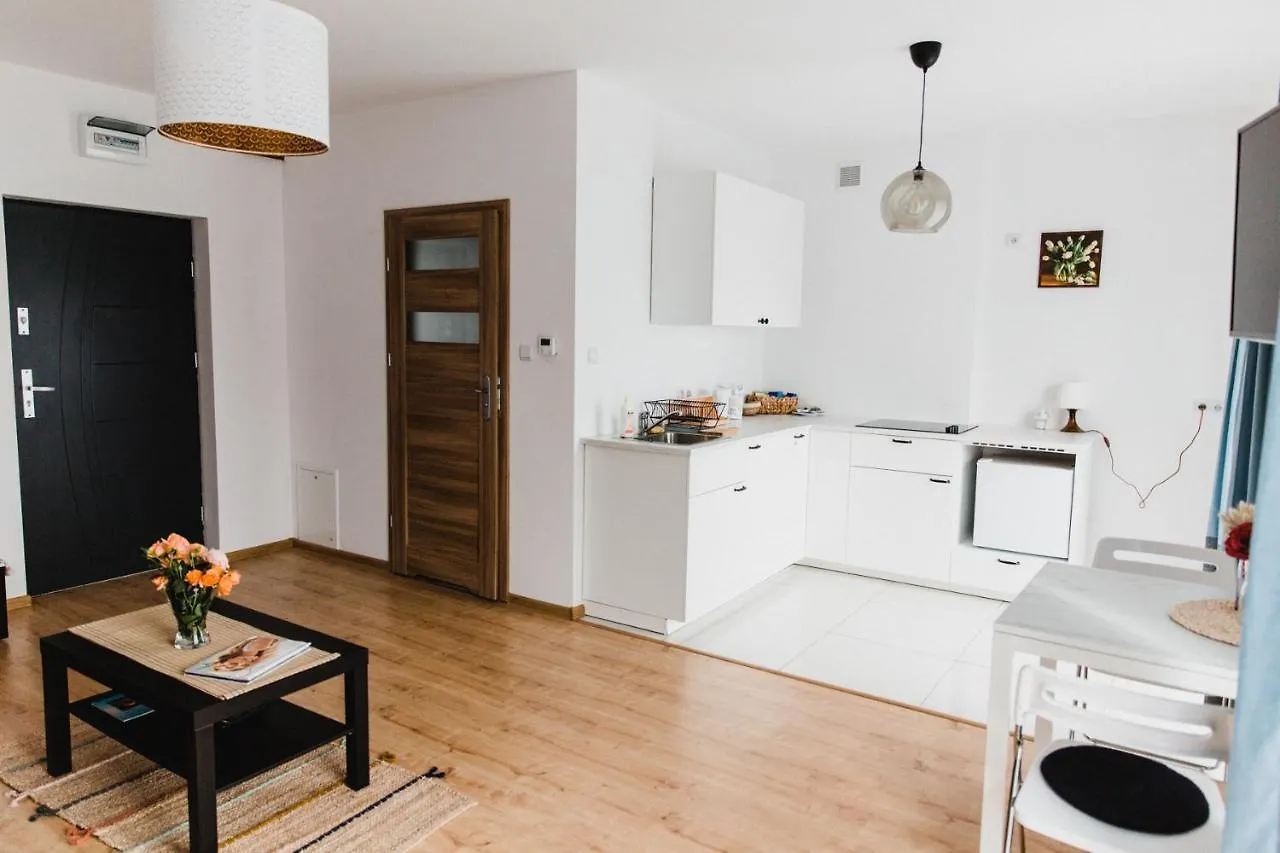 Joanna Apartment Krakow